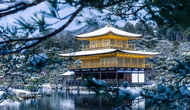 从树叶前景望向雪金阁的广角大景