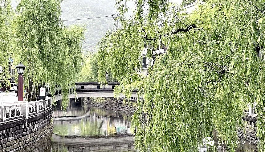 一条小河流两侧有绿色垂之往河流面倒向中间有一条石桥的城崎温泉初夏景致