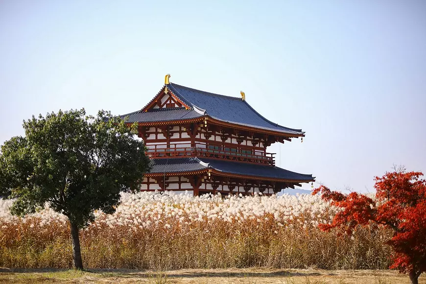บรรยากาศภายนอก Nara Palace Site Historical Park