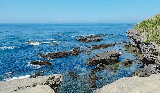 海岸邊有岩石和長在岩石上的綠色植物