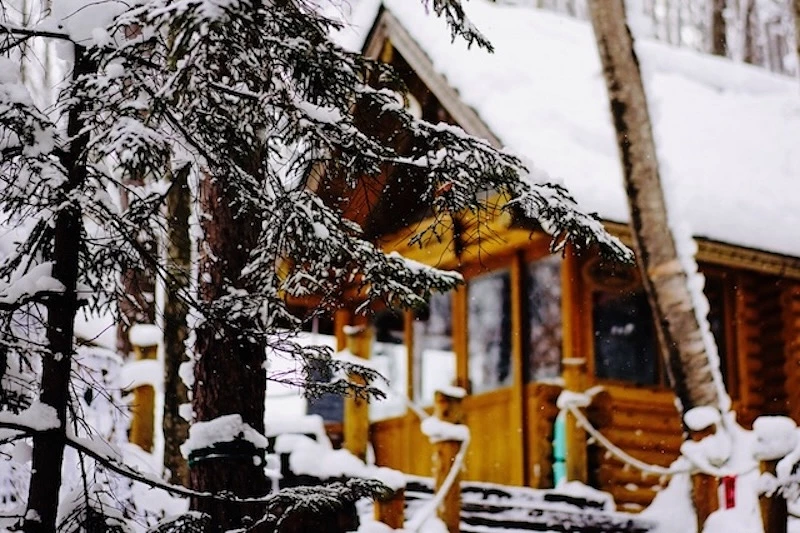 樹為前景，後有小屋