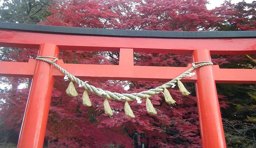 神社鳥居