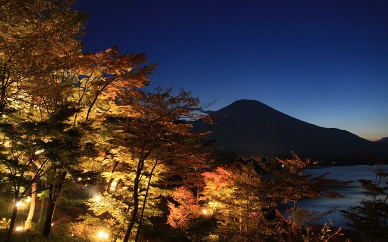 楓葉加富士山的夜晚景色