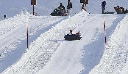 國營瀧野鈴蘭丘陵公園,小朋友正在滑全長 200 米的超長雪地滑梯