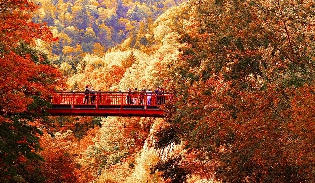 秋季的定山溪温泉,枫红满山遍野
