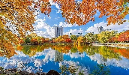 札幌中島公園,楓紅映照在湖面上如夢似幻