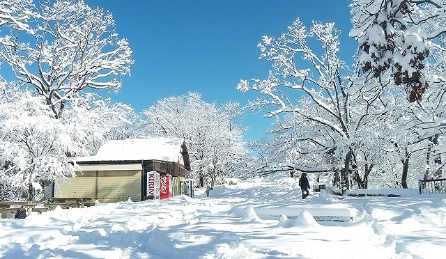 高尾山山頂雪景,一片銀白色配上藍天