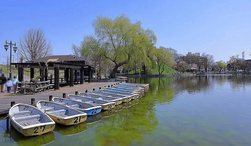常磐公园一景,千鸟池旁停着许多小船