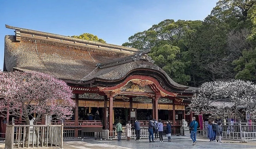 太宰府天滿宮,本殿旁有美麗櫻花