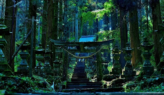 茂密山林中的上色見熊野座神社,綠色一片充滿神秘氛圍