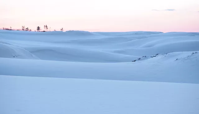 鳥取冬天行程這樣排！吃松葉蟹、賞楓葉秘境、浪漫雪景一次滿足