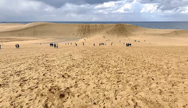 鸟取冬天行程这样排!吃松叶蟹、赏枫叶秘境、浪漫雪景一次满足