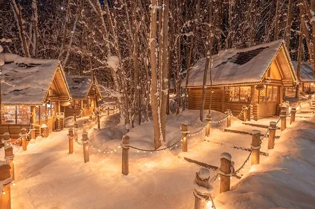 住進童話裡的森林!來探險「森林精靈露台」夢幻雪景與手作小屋