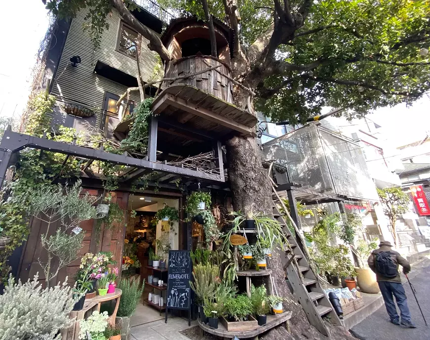 ภาพภายนอกของ Kyoto Treehouse Café