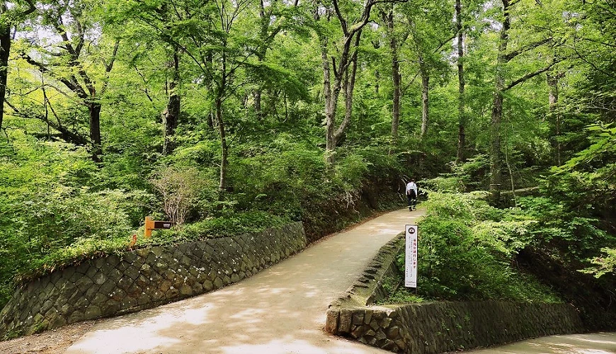 高尾山登山步道