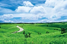 ภูเขาไฟอะโสะ+ศาลเจ้าเก่าแก่ ที่พัก อากาศ โปรแกรม1วัน