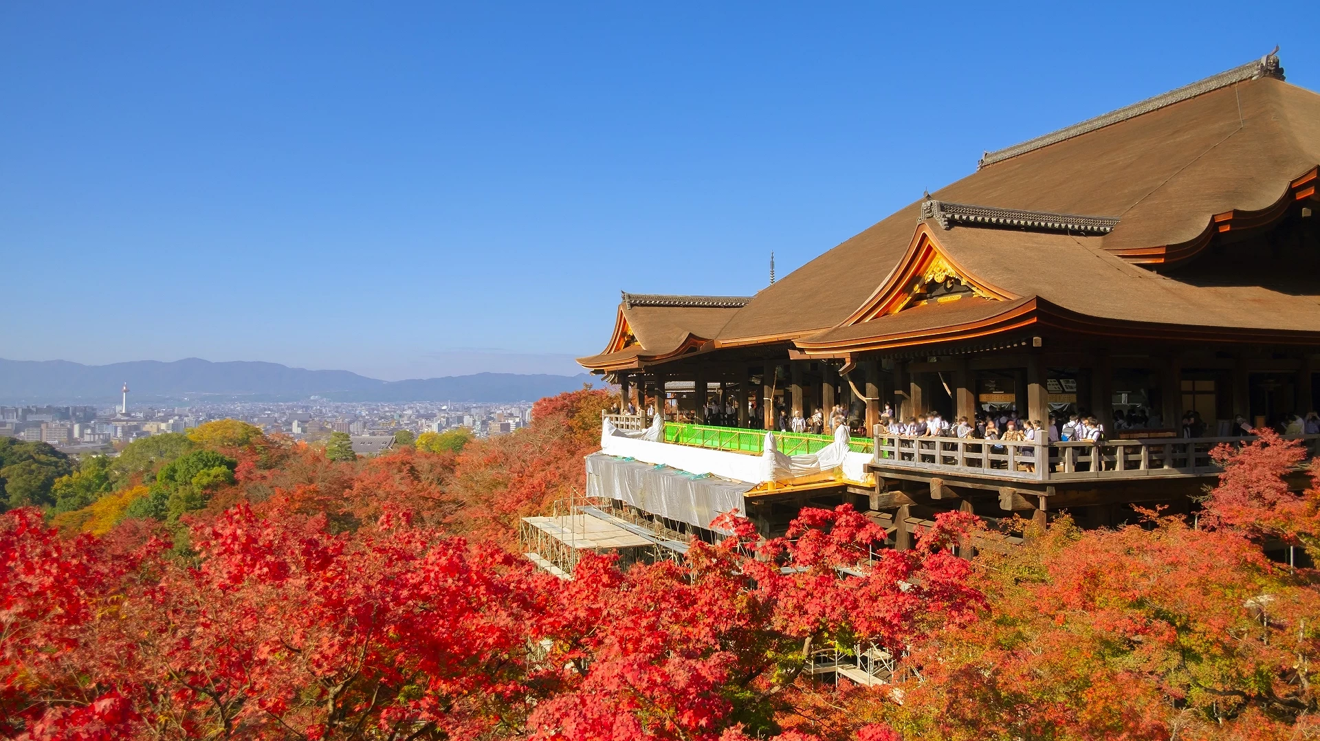 在秋季紅葉與青空環繞下的清水寺舞台