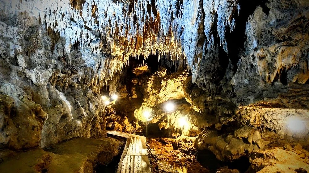 沖繩 CAVE OKINAWA