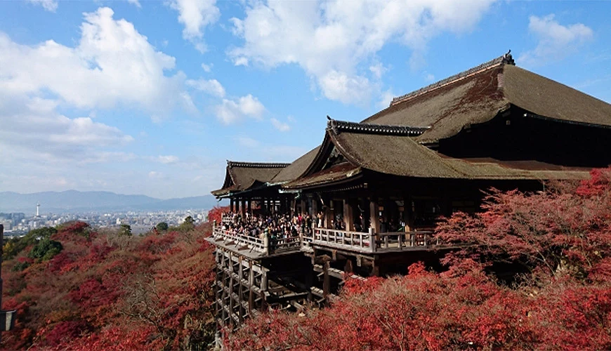 红叶季下的清水寺景色