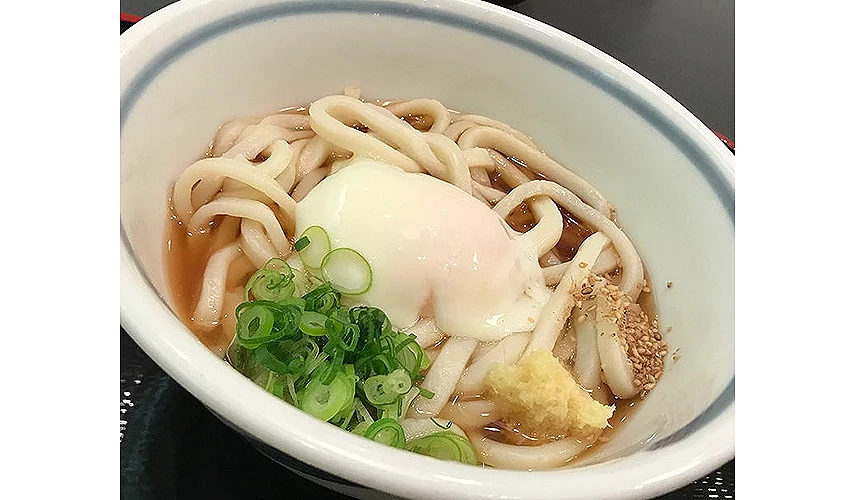 赞岐麺业的乌龙面料理俯角中特写