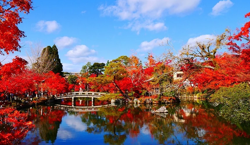 湖水反射秋季紅葉與晴空