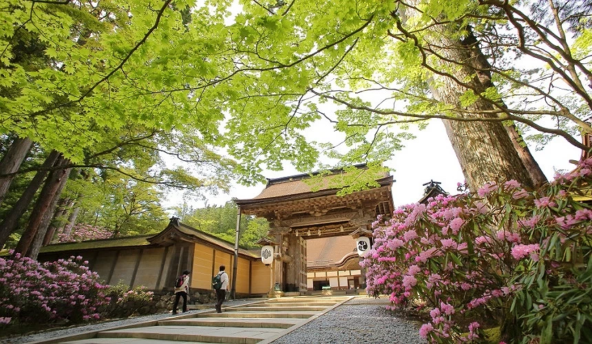 高野山