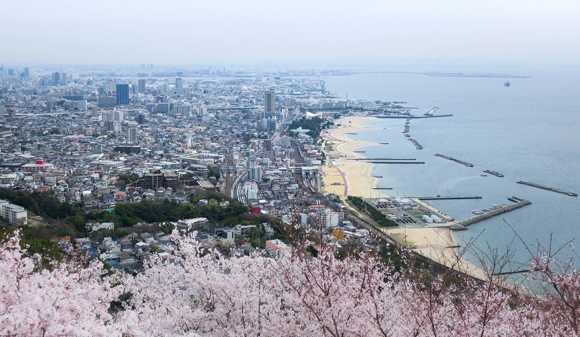 神户樱花季必去的须磨浦公园的展望台俯瞰可见神户港跟樱花的同框景色