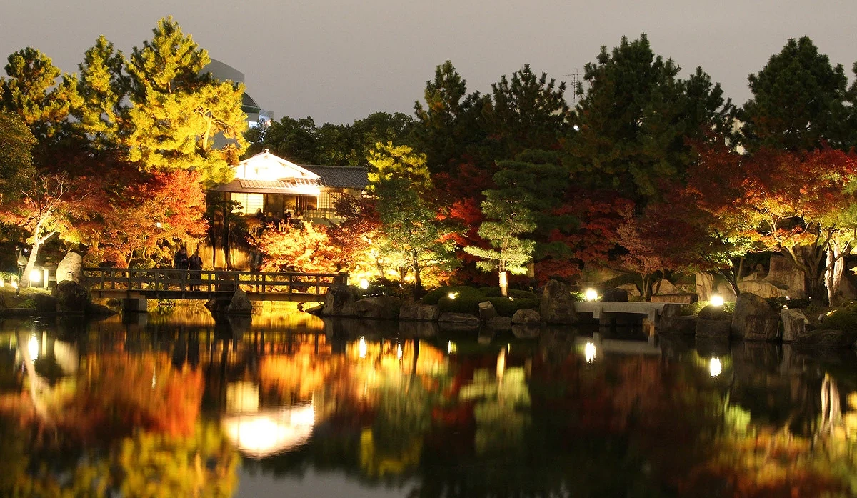 名古屋德川園夜楓景色,紅葉與綠樹在燈光映照下倒映池面,展現夢幻氛圍