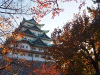 2025名古屋楓葉景點推薦：中部賞楓名所25選、最佳紅葉觀賞時間