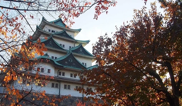 名古屋城天守閣與秋季紅葉相互映襯,石垣與藍綠屋頂在夕陽下更顯莊嚴