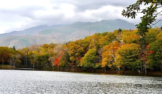 北海道知床五湖秋季紅葉,湖畔楓林倒映湖面,遠方山巒雲霧縹緲