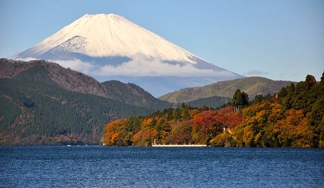 箱根蘆之湖畔的紅葉景色與遠方白頭富士山