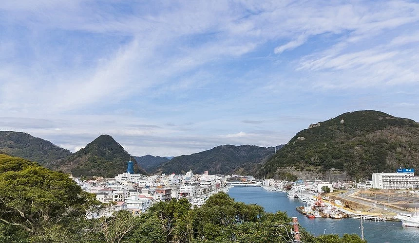 港口与群山环绕的城市景观