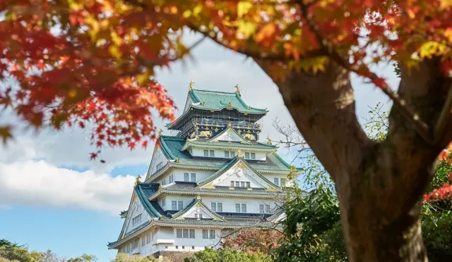 2025大阪楓葉必看11選:大阪城、勝尾寺、萬博紀念公園紅葉觀賞期預測
