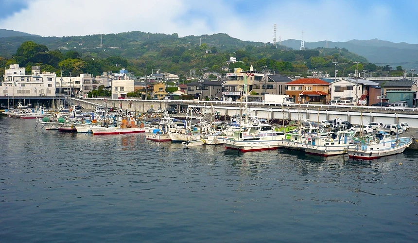 小田原漁港(早川漁港)/圖片來源: