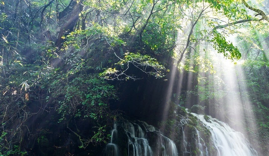 元泷伏流水的夏季风景