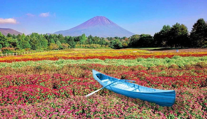 以富士山為背景的「彩虹花祭」會場
