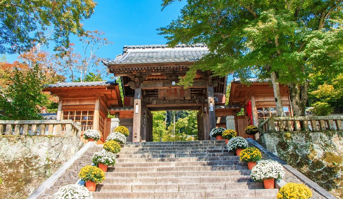 被红叶环绕的古寺