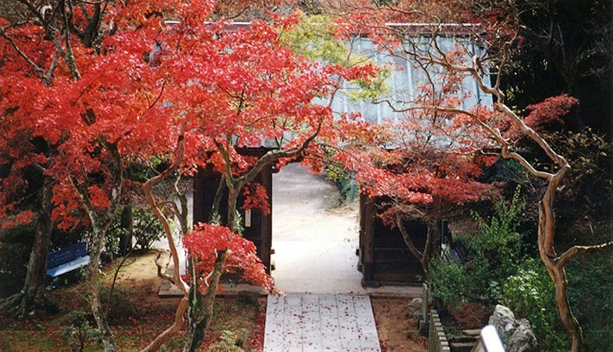 「平生山 东山寺」秋枫美景。