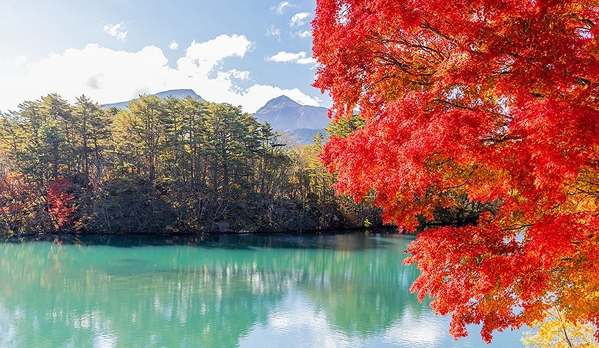五色沼的红叶与池景