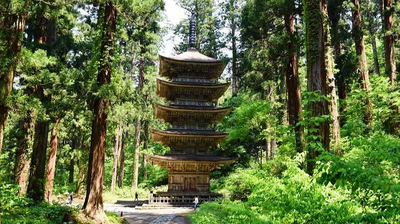 山形羽黑山五重塔示意图