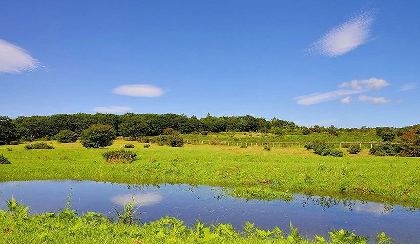安比高原的夏季风景