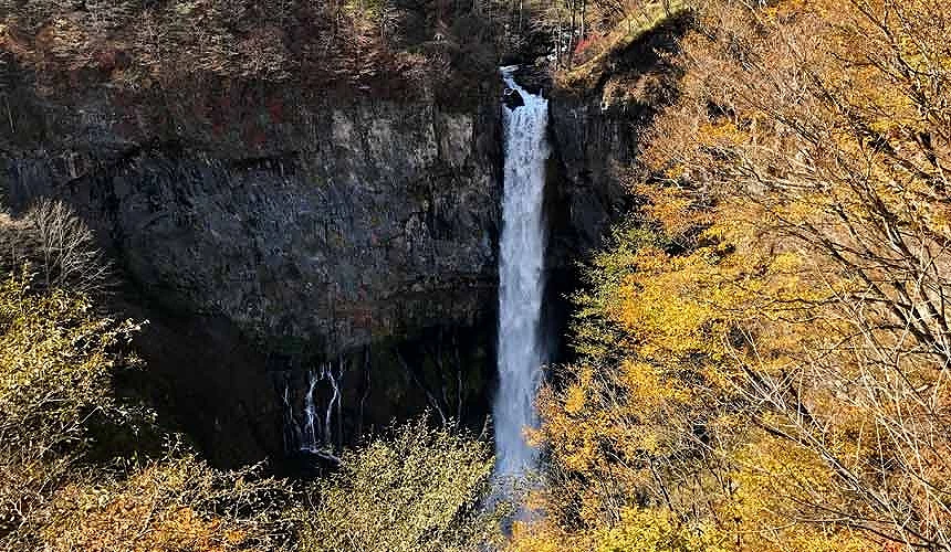 金黄色树林中有一个峡谷,峡谷中有瀑布