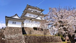 คู่มือเมืองปราสาท "โอดาวาระ" พร้อมแพลนเที่ยวจัดเต็ม