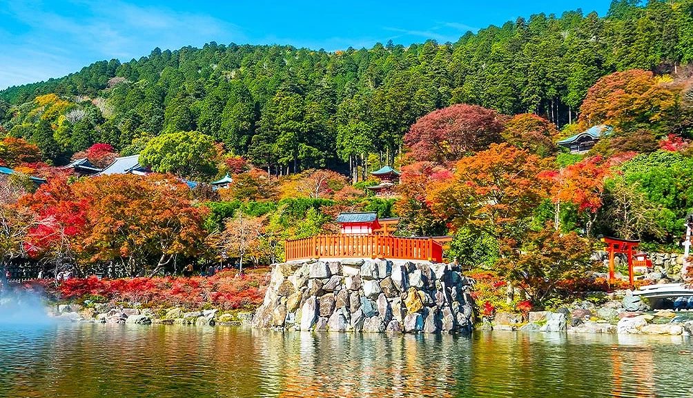 「勝尾寺」滿山遍野的紅葉是大阪近郊賞楓勝地