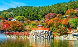 2025大阪枫叶景点清单:大阪城公园、胜尾寺、万博纪念公园红叶时间预测