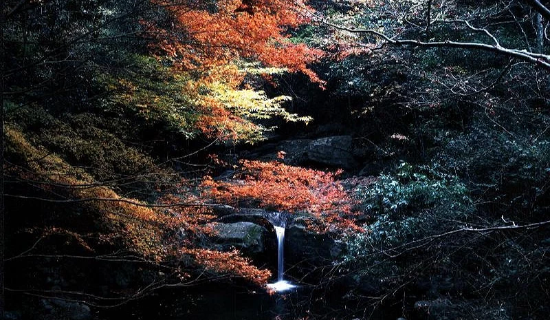 山中裡的瀑布與紅葉更添加秋意感