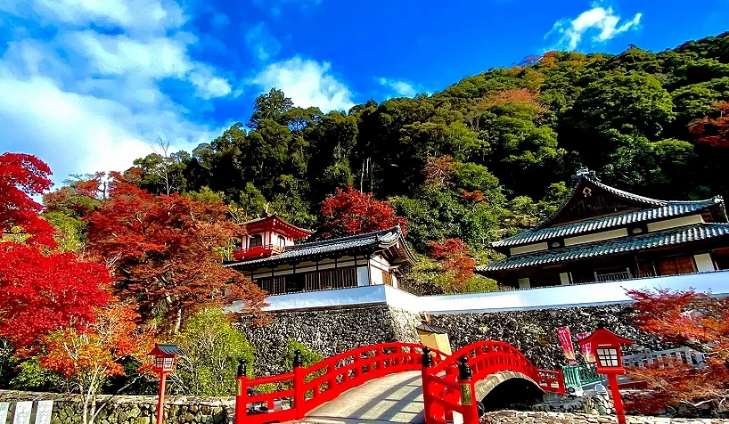 寺廟與紅葉相互輝映,景色十分迷人