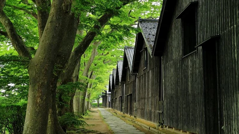 山形山居仓库示意图