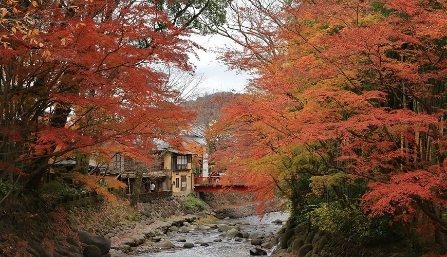 修善寺温泉街秋季风景，溪流两侧染上红黄枫叶，远方红桥与传统旅馆点缀其中，展现宁静日式秋意